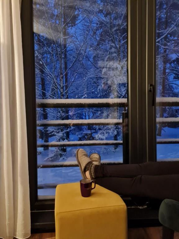 Apartman Djurdja - 2
