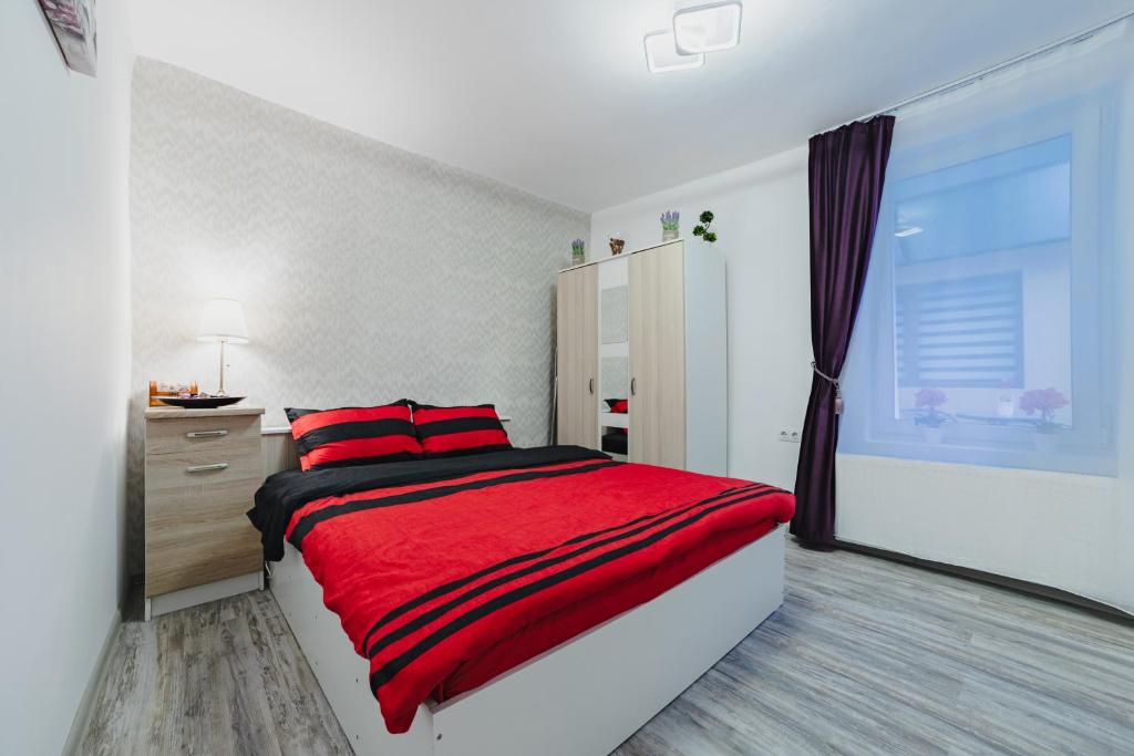 Studio Central Poarta Schei, Brašov