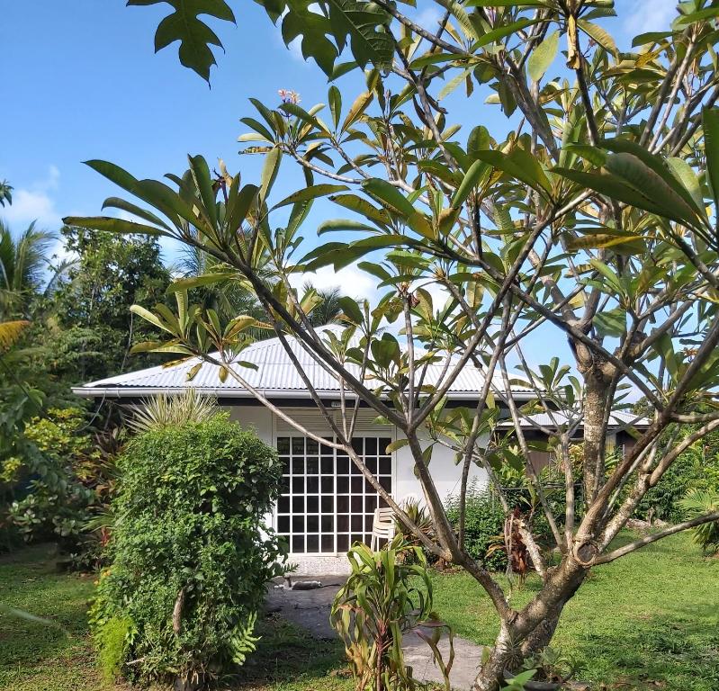 Chez Mimi et Daniel — Hotel in Bora Bora Island