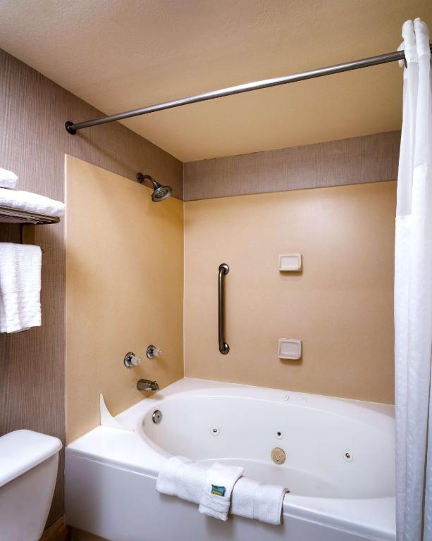 鳳凰城市區最佳西方酒店 (Best Western Downtown Phoenix)