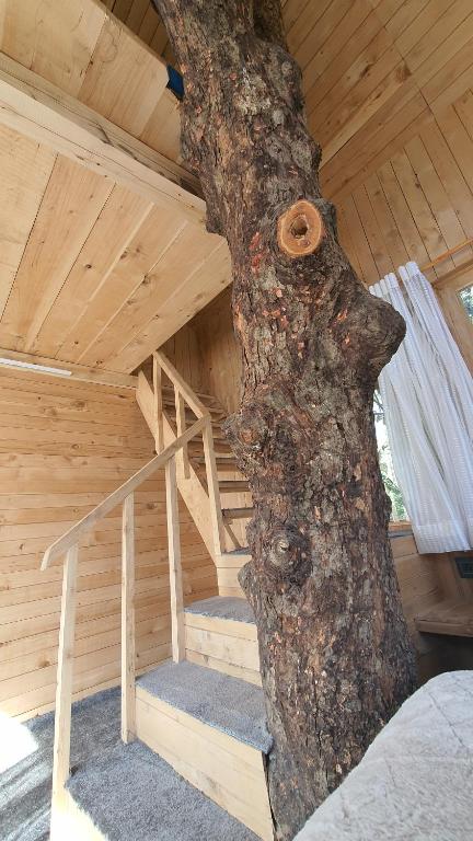 LITTLE WOOD TREEHOUSE photo