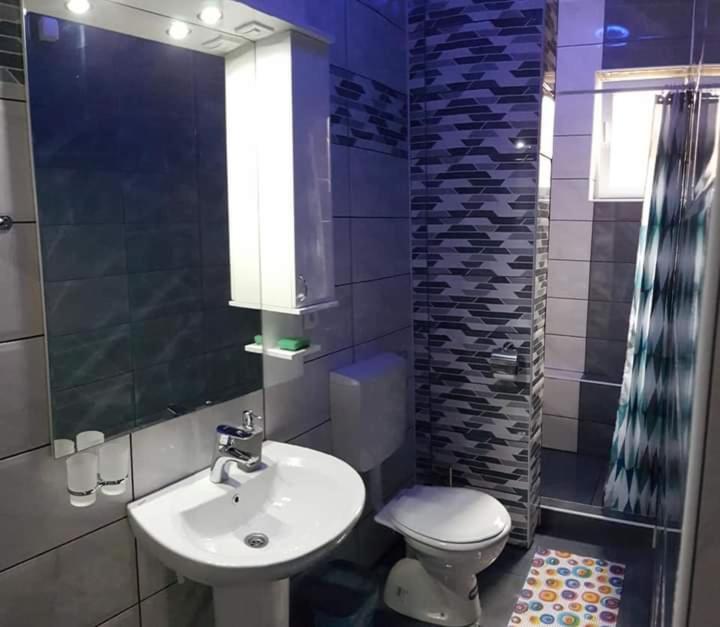 Apartman Ivanovic 6 Sokobanja - 5