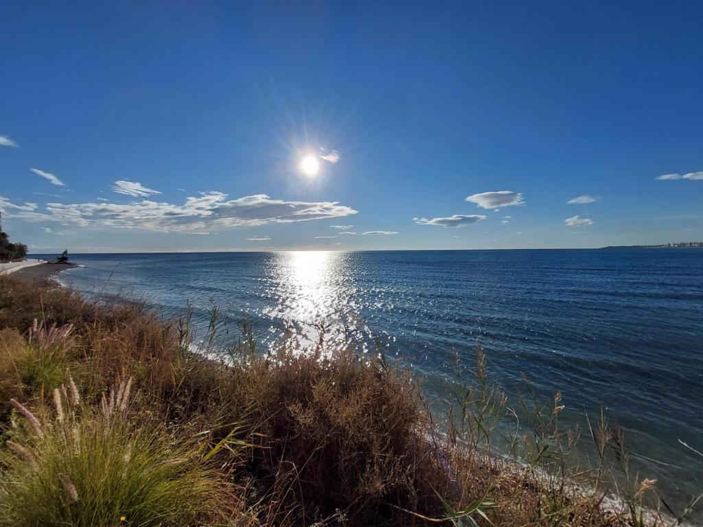 Bungalow Alkabir Playa photo