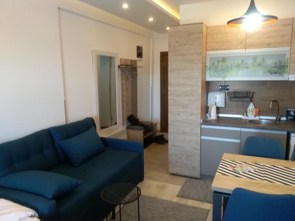 Okili apartman S11 Milmari resort Kopaonik - 4