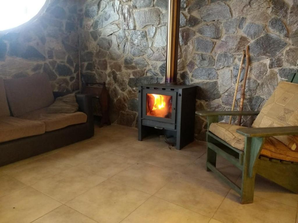 Lechuzas - 1