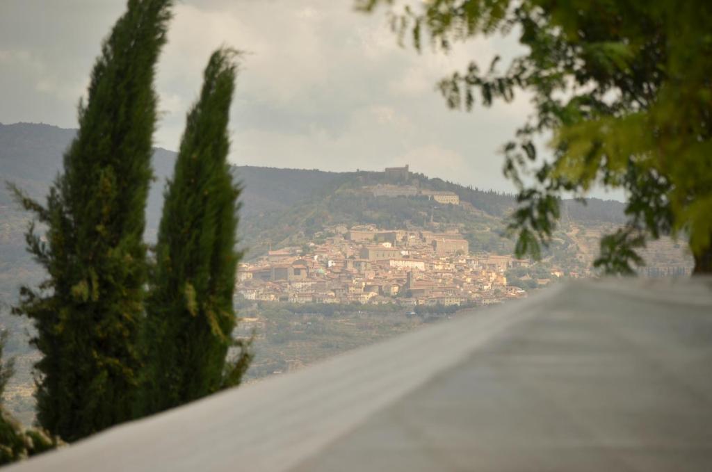 Luxury Villa In Cortona - 4