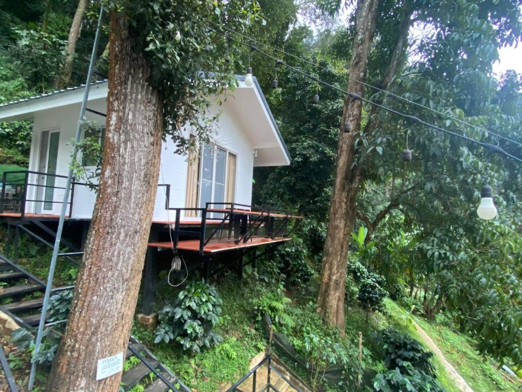 บ้านชายดอย Glamping ดอยแม่แจ๋ม cheason ,Muangpan, Lampang photo