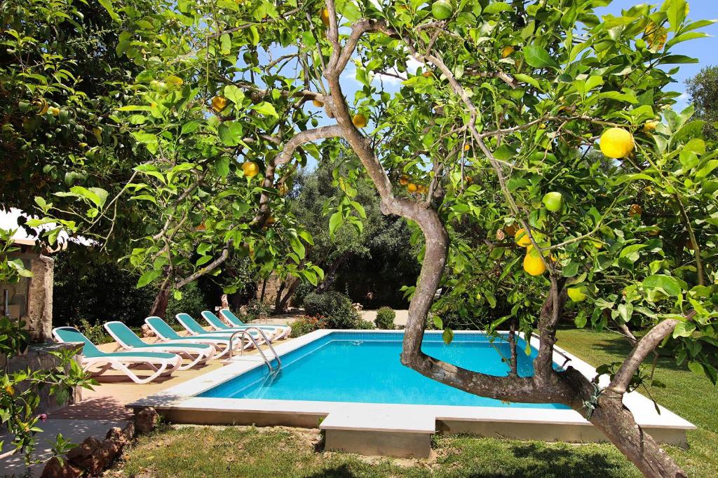 Villa Punxa - 4