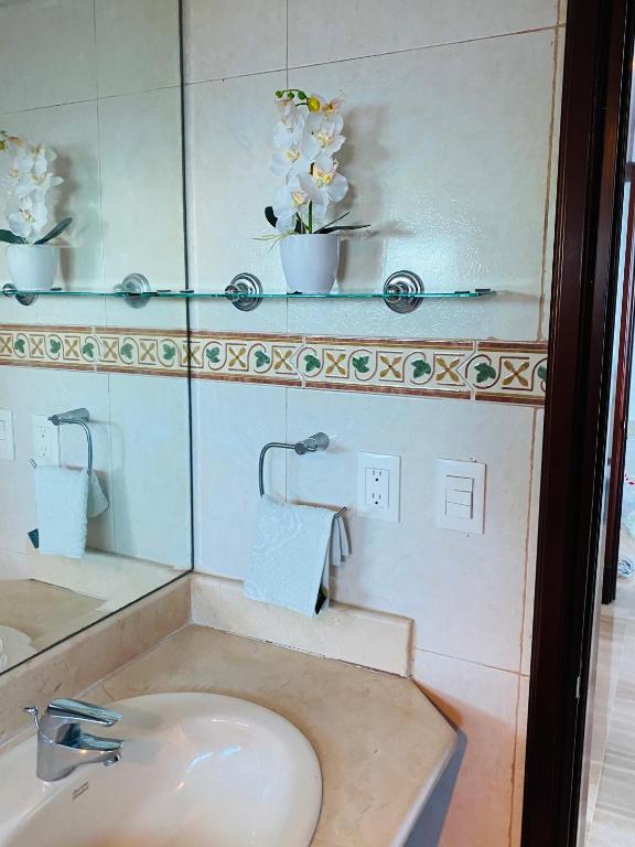Vista al mar Habitacion Privada Coral en Malecon Santo Domingo 1-829-343-1001 photo