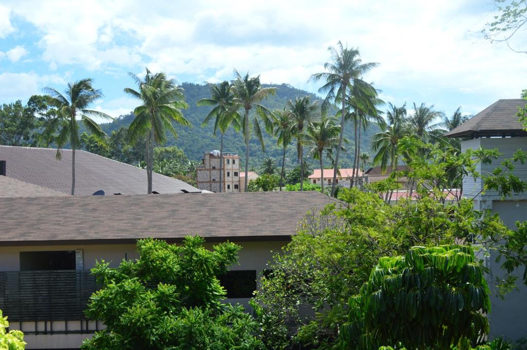 View