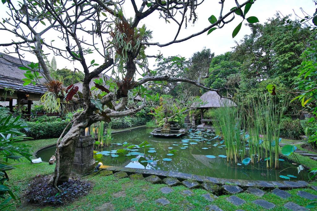 Taman