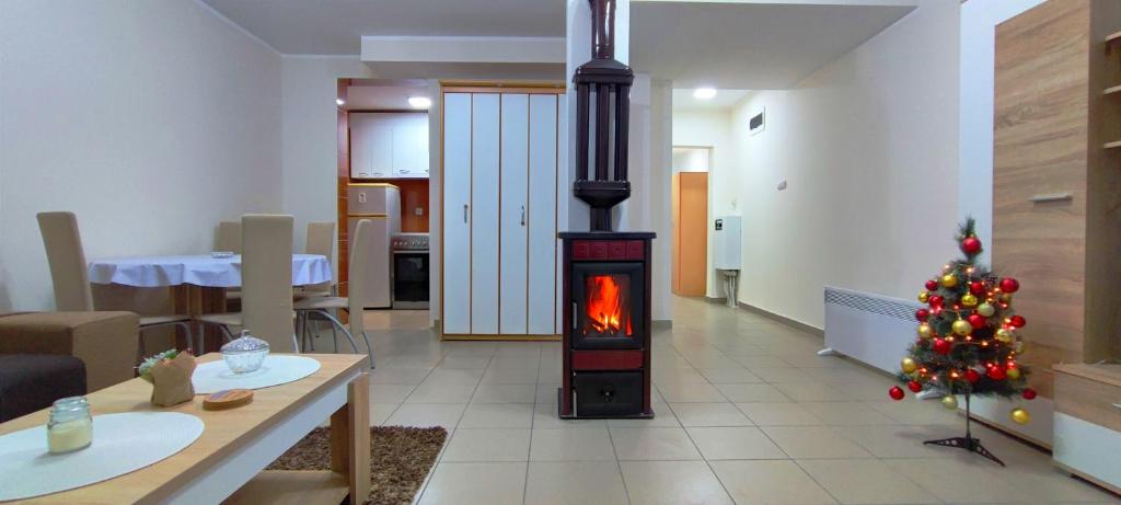 Apartman Mis Divcibare - 5