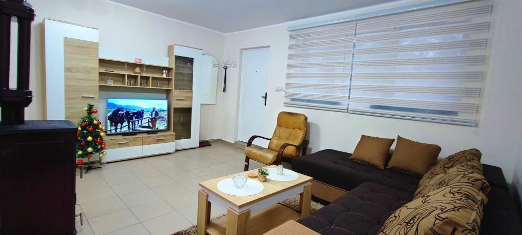 Apartman Mis Divcibare - 2