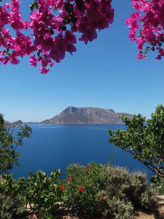 Niotis Studios, Kalymnos