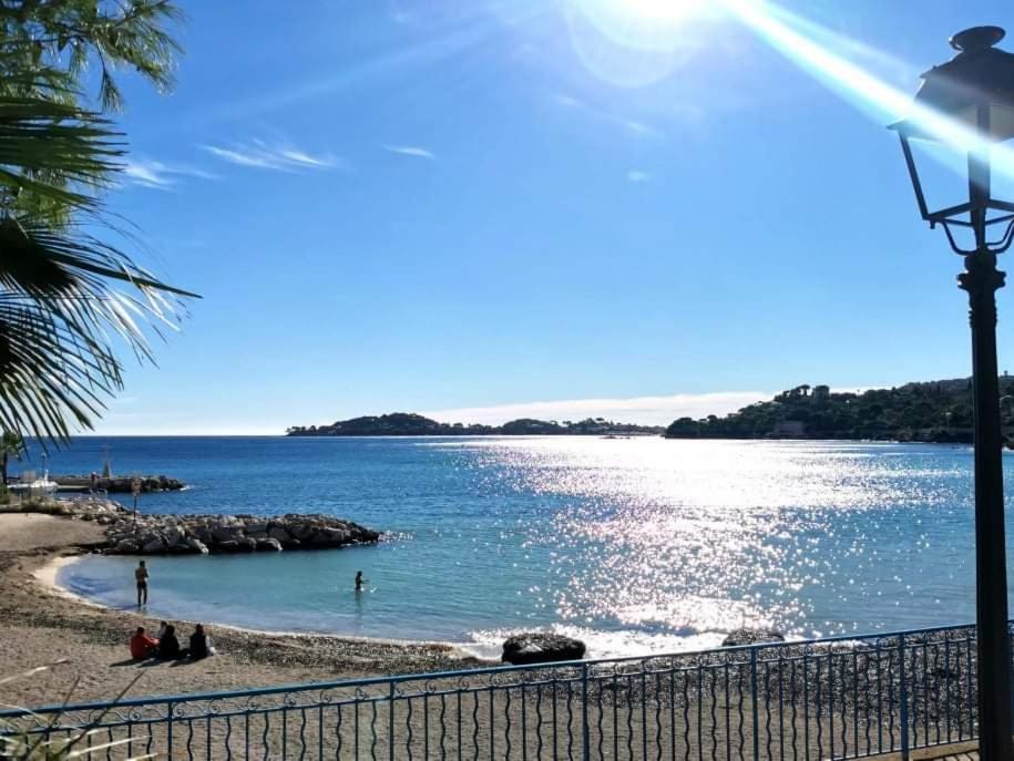 Studette "La Fourmi" proche centre et plage - 2
