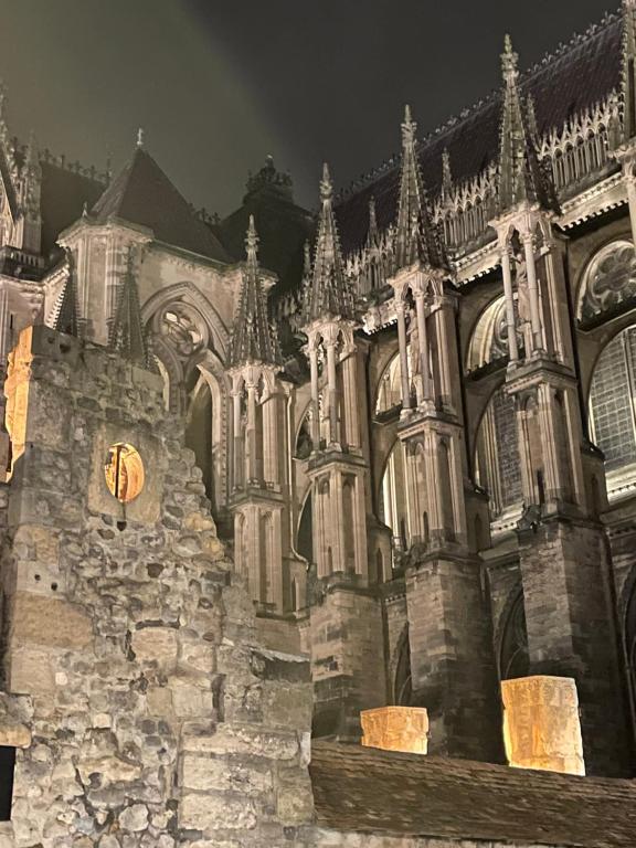 Les Berceaux de la Cathedrale - 5