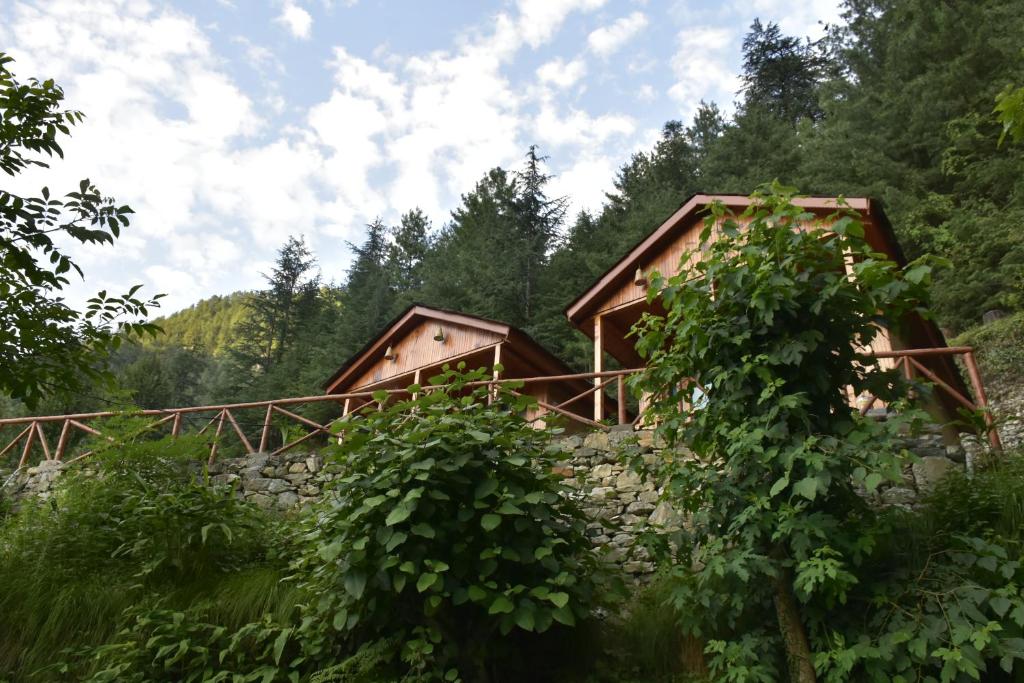 Forest Escape Cottages photo