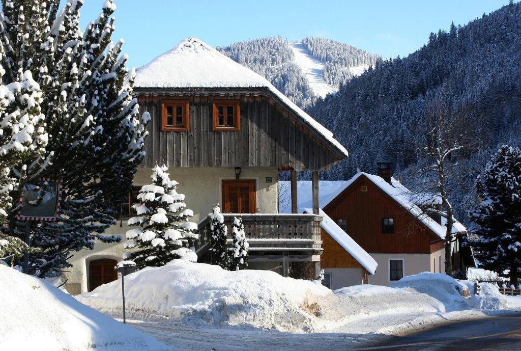 Ferienhaus Alte Mühle Hohentauern - 3