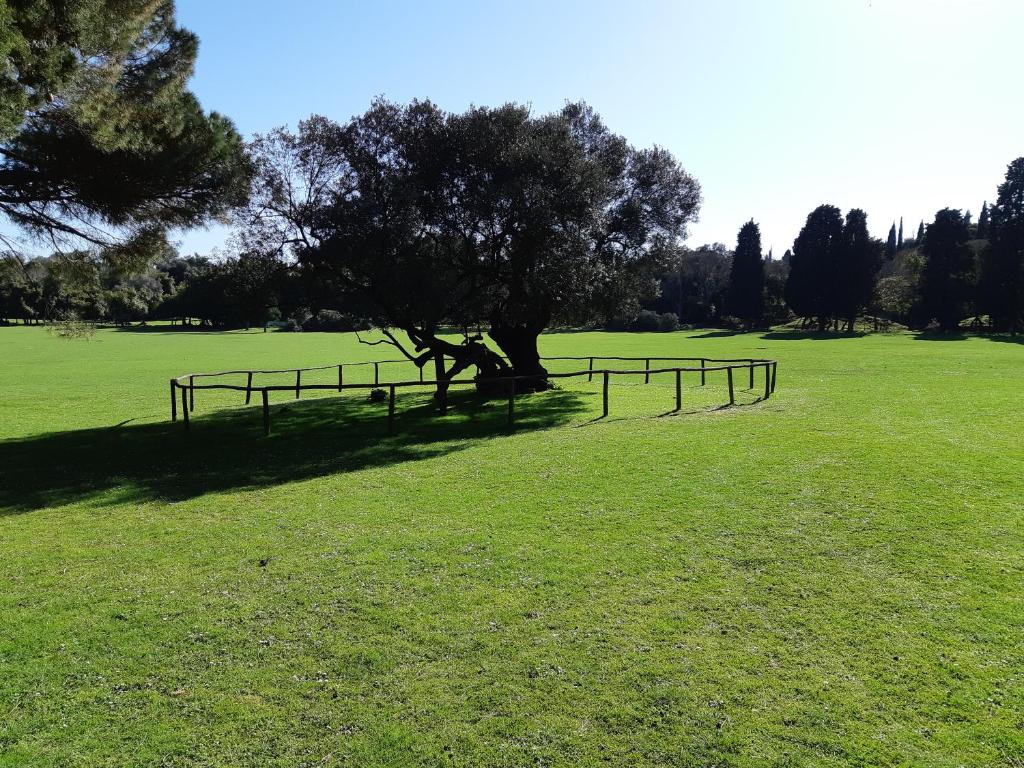 Villa Kascuni photo
