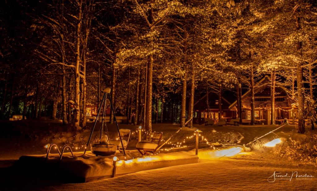 Lampiranta Log cabin photo