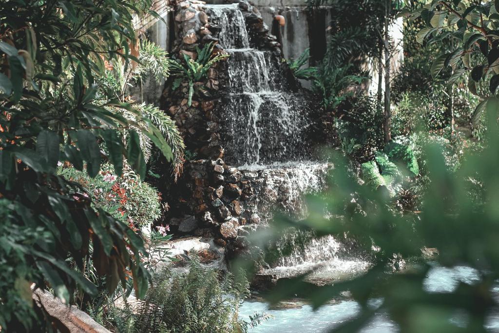 Surrounding environment