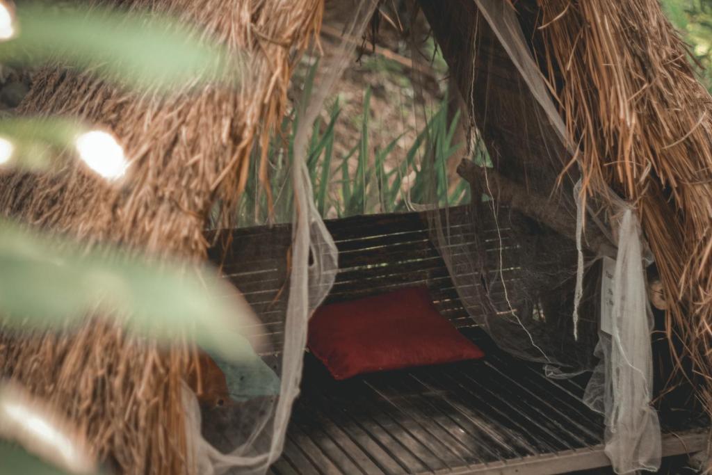 Surrounding environment