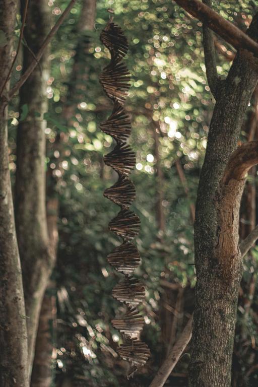 Surrounding environment