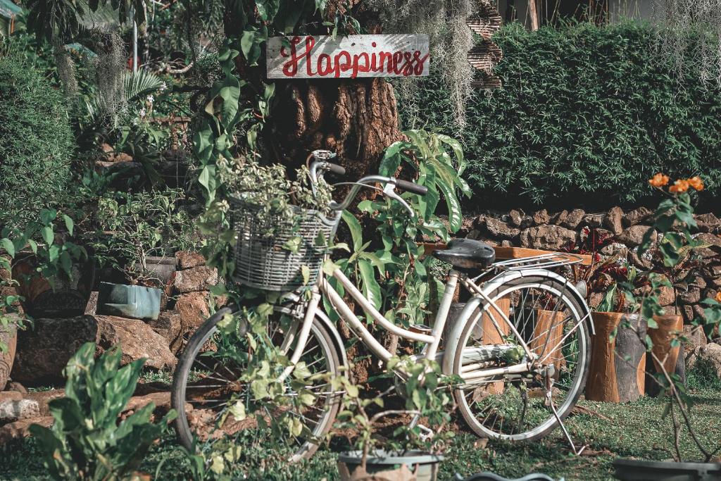 Sports and activities