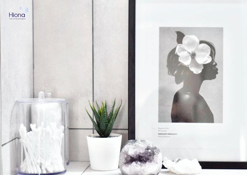 Hiona Apartment photo