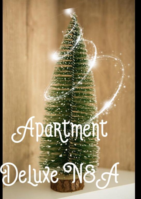 Apartment Deluxe N&A5 - 2
