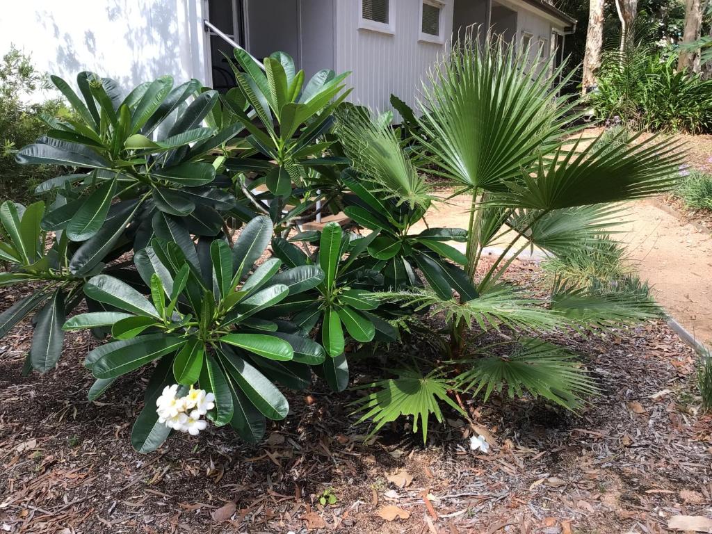 Dandaloo Gardens photo