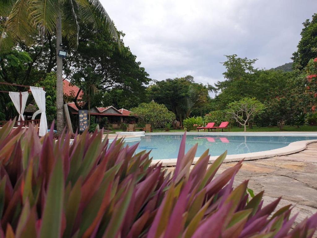 Royal Mayura Resort Hotel photo