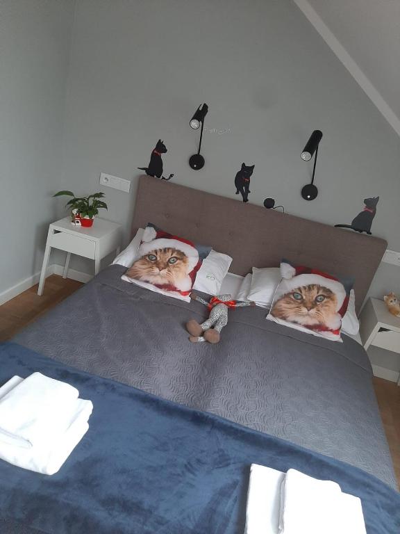 Apartamenty Koci Ogon photo