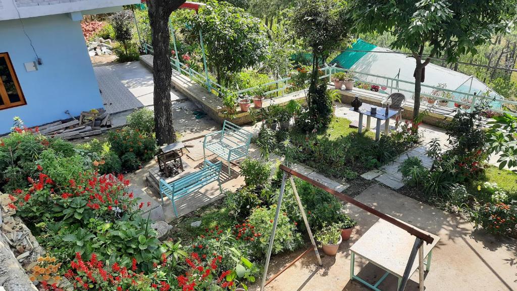 Nanda View Cottage — Hotel in Almora
