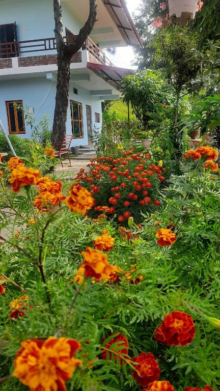 Nanda View Cottage photo