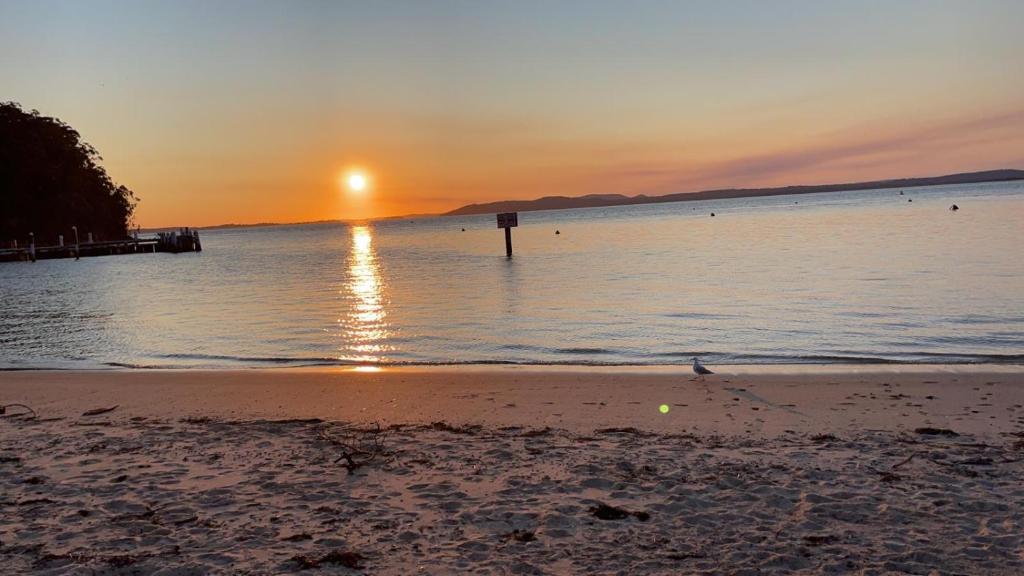 Nuts About the Bay, Nelson Bay