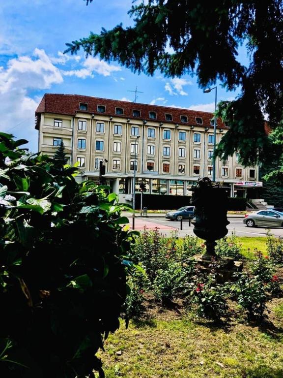 HOTEL MUNTENIA — Hotel in Campina