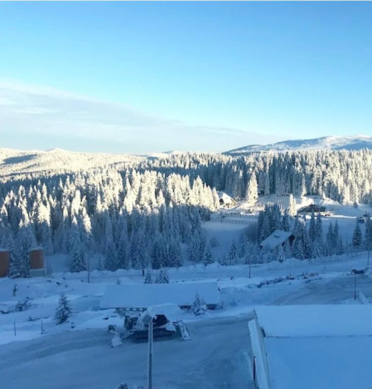 Apartman Sky View, Župa Wellness & Spa u Centru Kopaonika - 5