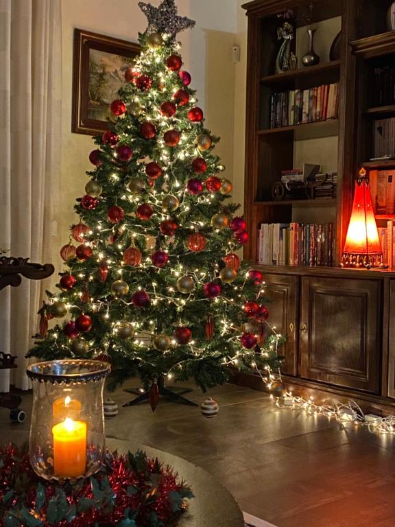 Casa D'Os Reais, São Cristóvão do Douro