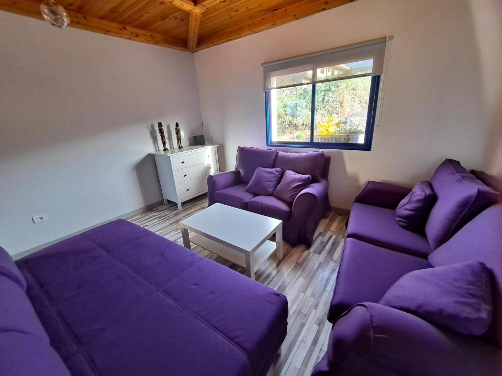 Tenerife apartment 100m2 CASA DE DON QUIJOTE with a terrace of 100m2 with a view of the ocean and Teide volcano and a garden of 600m2 - 3