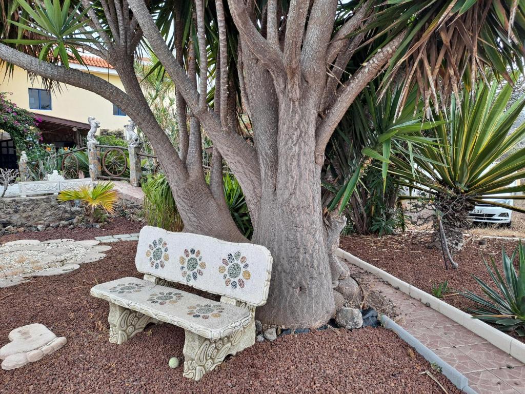 Tenerife apartment 100m2 CASA DE DON QUIJOTE with a terrace of 100m2 with a view of the ocean and Teide volcano and a garden of 600m2 - 5