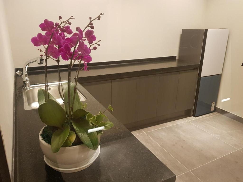 최신 시설 이미지2