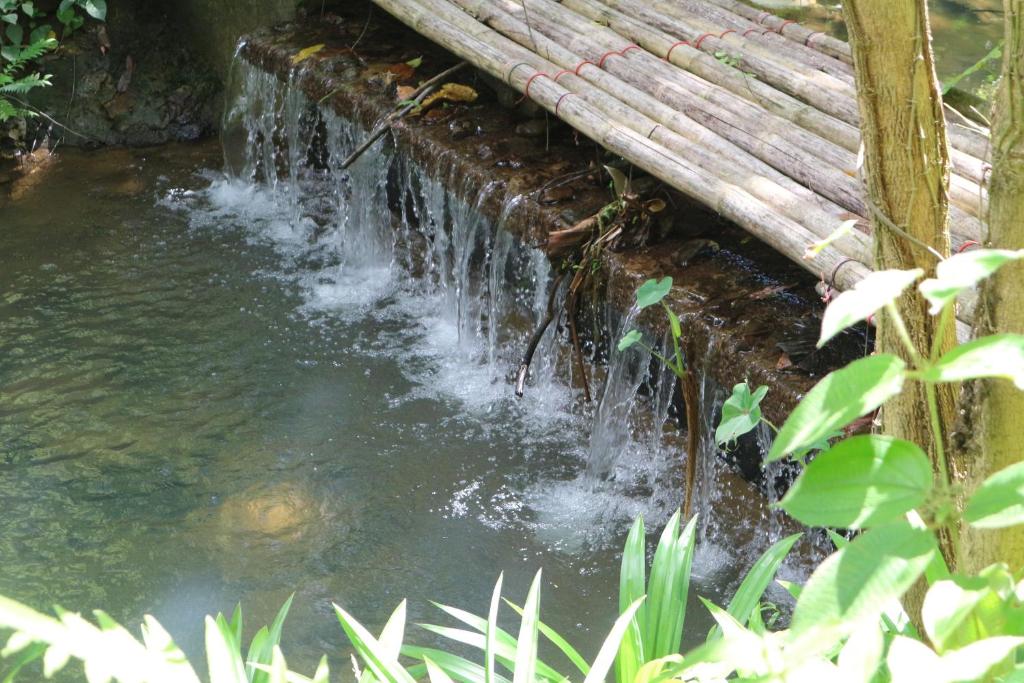 Surrounding environment