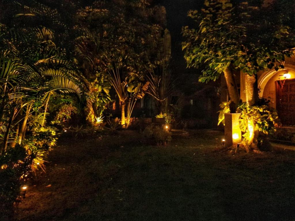 Gardenia 29 photo