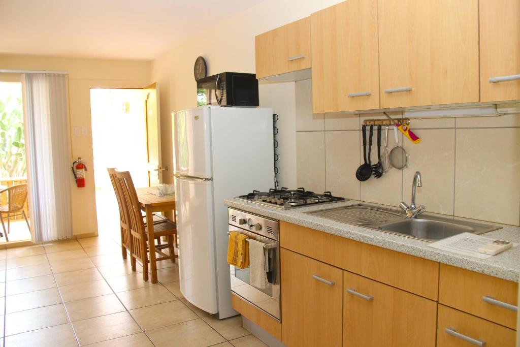 Kitchen, Camacuri Apartments in Oranjestad