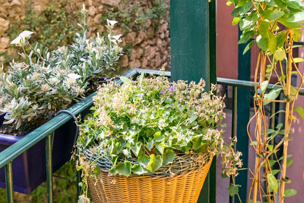 Appartements Vieux Nice / Marche aux fleurs photo