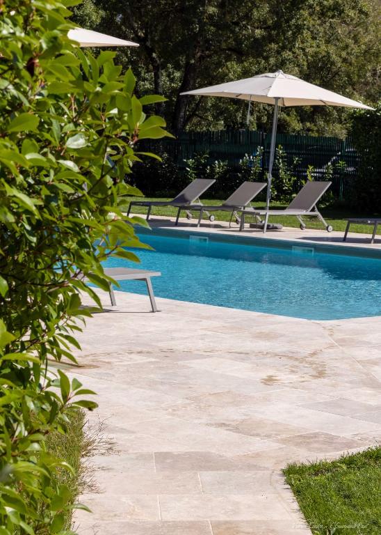 Logis Hotel Le Belvedere photo