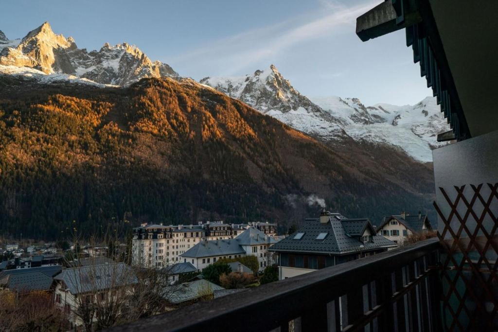 Portes du Brevent -1 bedroom apartment with magnificient Mont Blanc views - 3