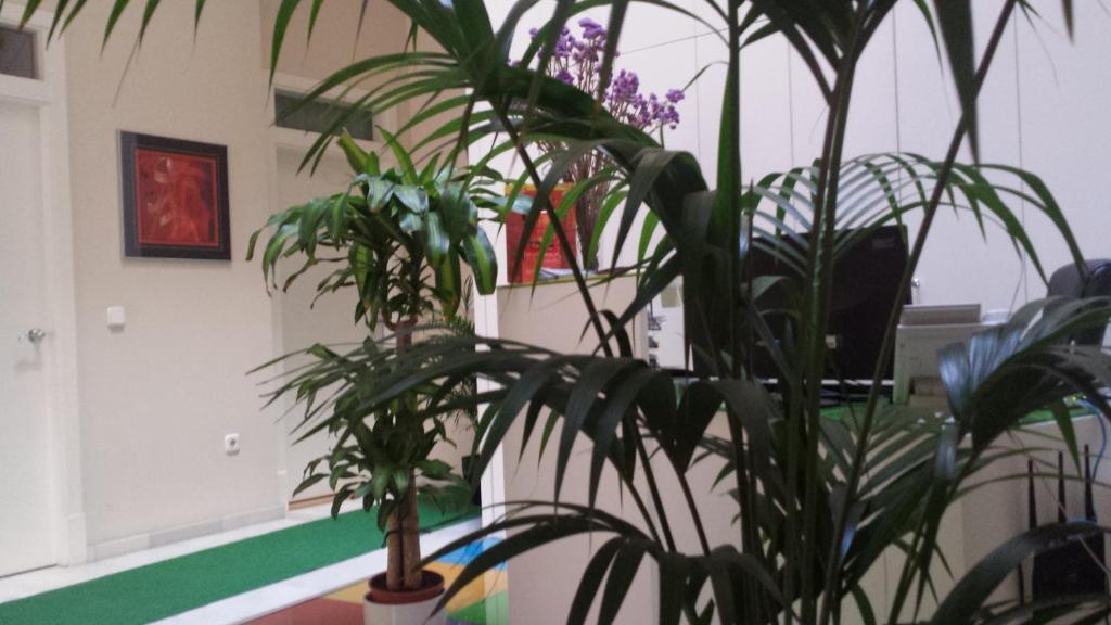 Hall
