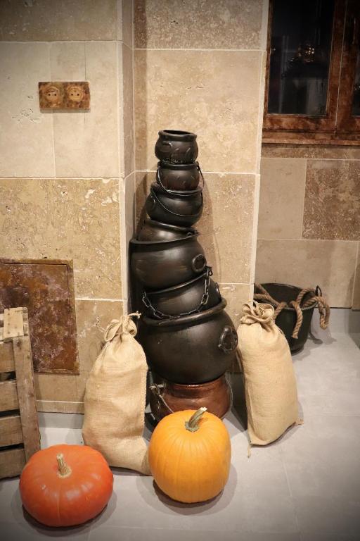 Le grand gîte du Sorcier ! Logement magique - 2
